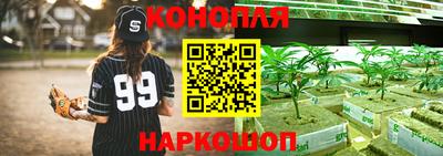 гидра Камышлов